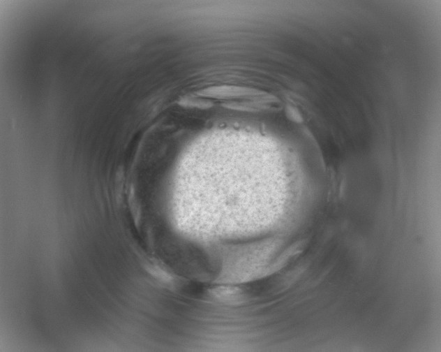 X0000054440189200508121854