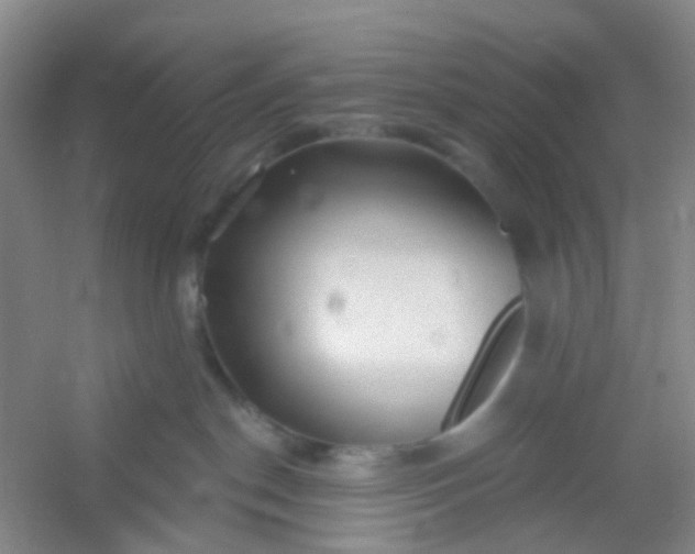 X0000054440190200508121854