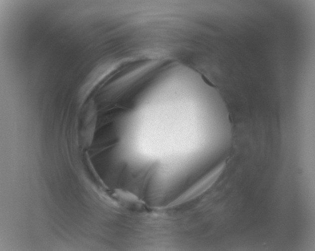 X0000054440194200508121853