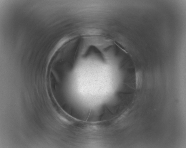 X0000054440195200508121853