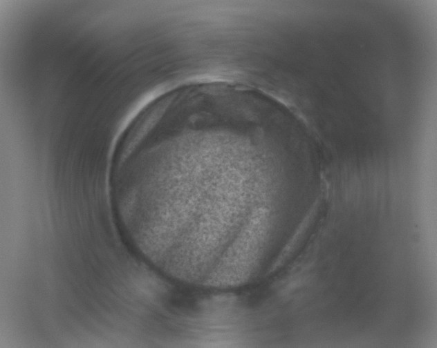 X0000054440196200508121853