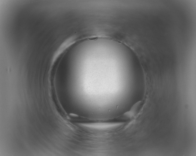 X0000054440198200508121853