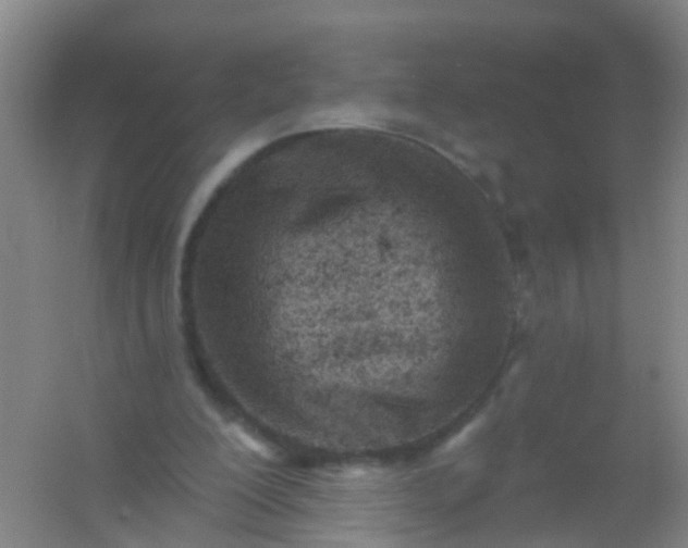 X0000054440200200508121853