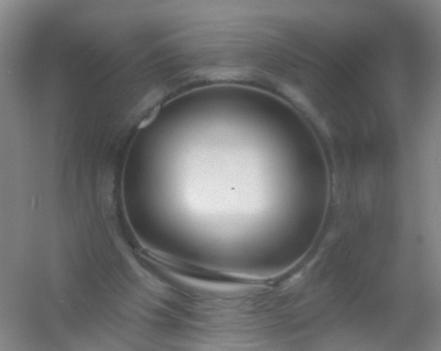 X0000054440201200508121853