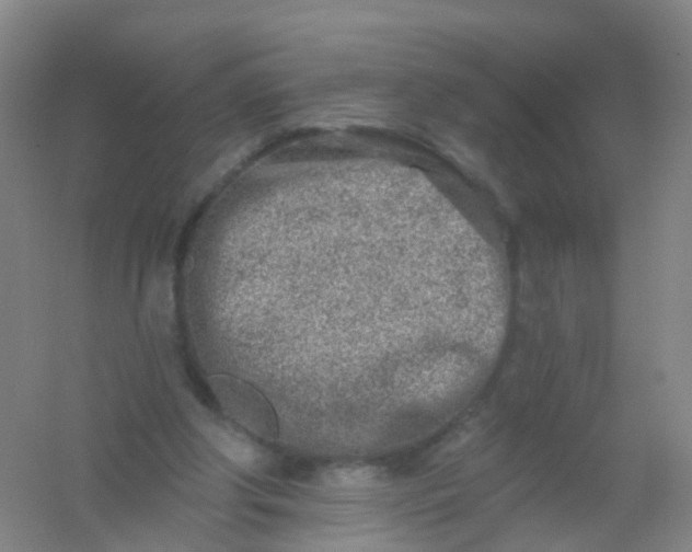 X0000054440202200508121853