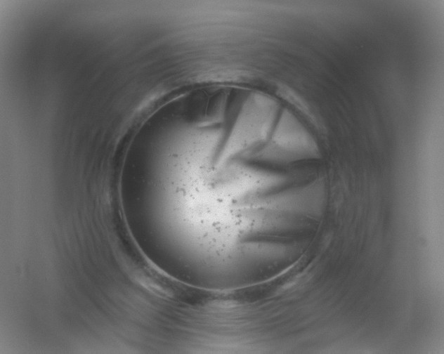 X0000054440203200508121853