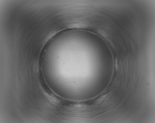 X0000054440204200508121853