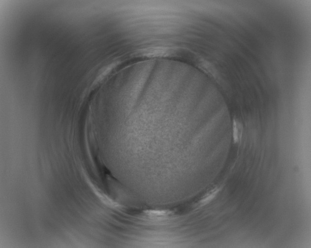 X0000054440205200508121853