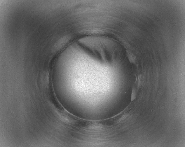 X0000054440206200508121853