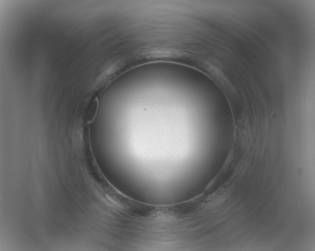 X0000054440207200508121853