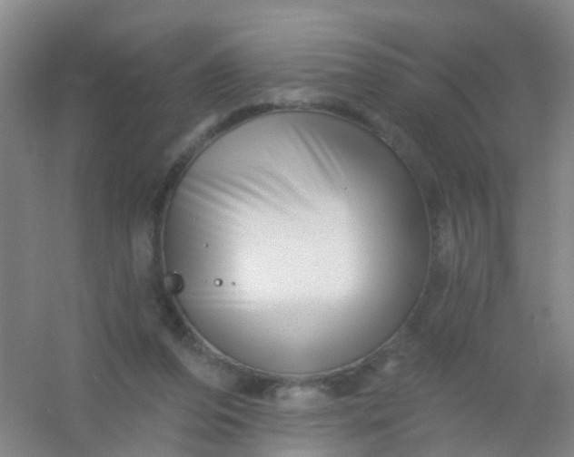 X0000054440208200508121853