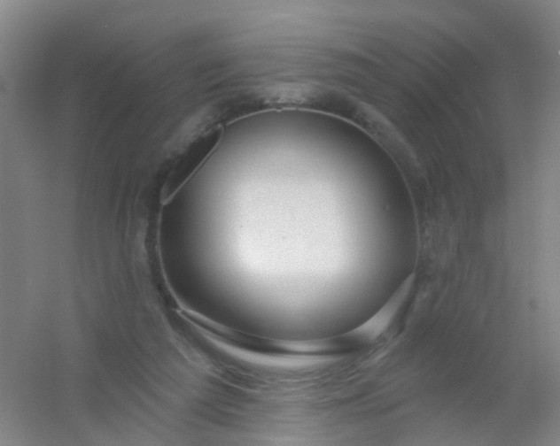 X0000054440209200508121853