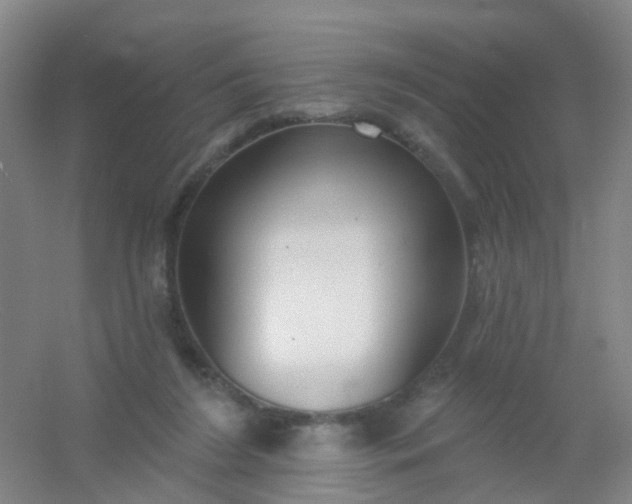 X0000054440212200508121853