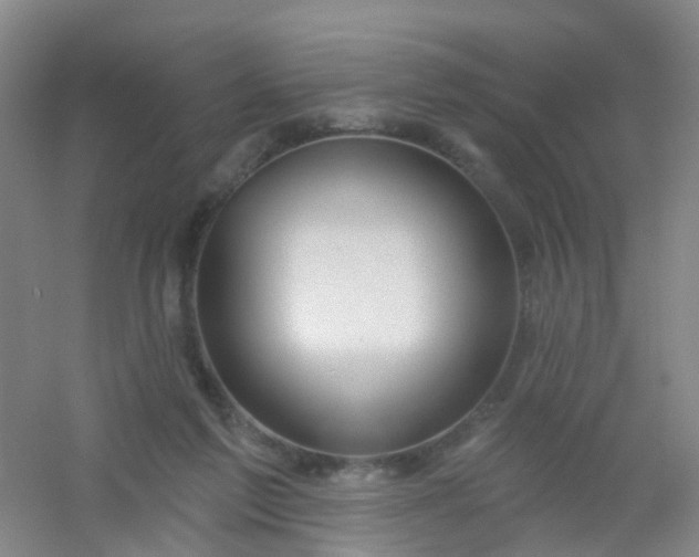 X0000054440213200508121853