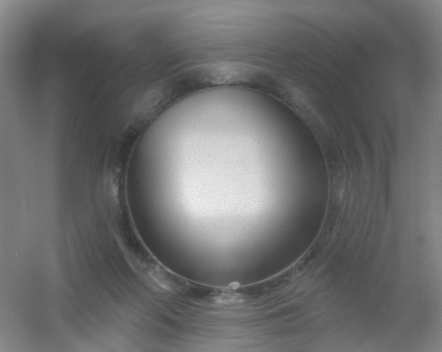 X0000054440214200508121853