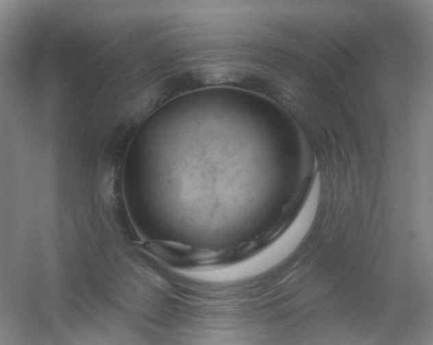 X0000054440219200508121853