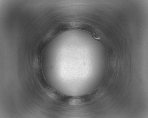 X0000054440220200508121853