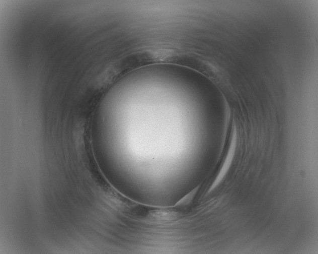 X0000054440221200508121853