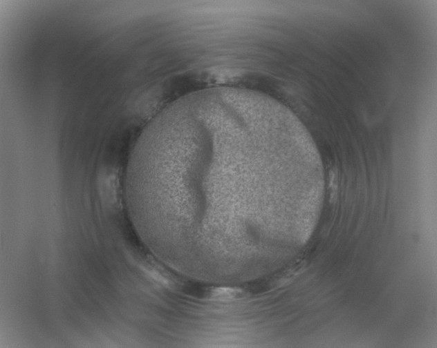 X0000054440222200508121853