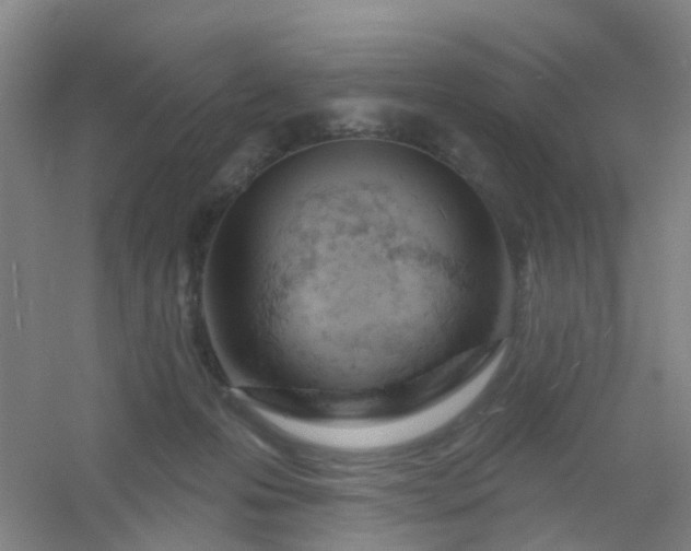 X0000054440223200508121853