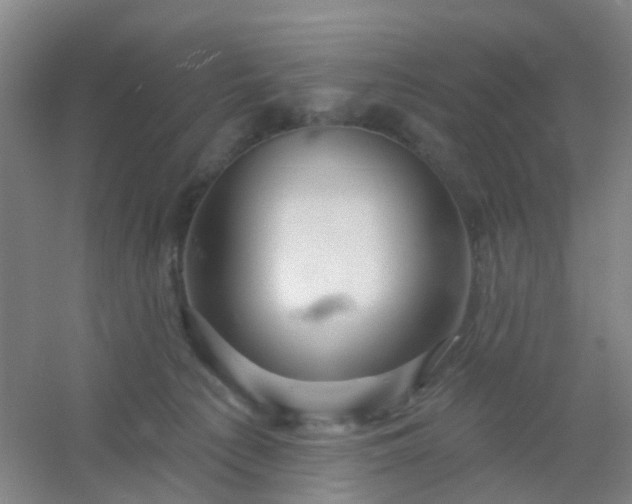 X0000054440225200508121853