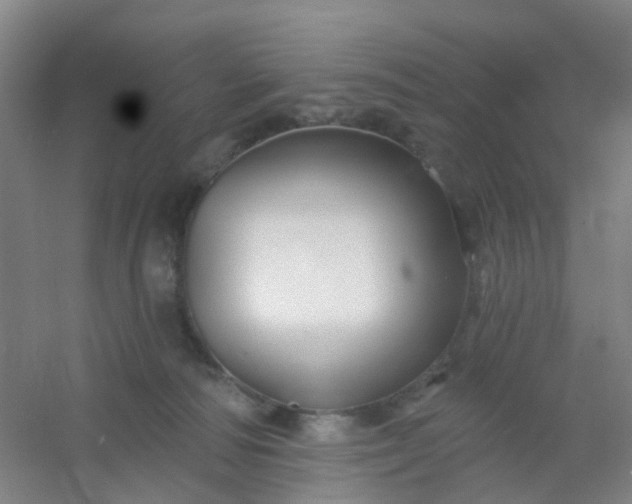 X0000054440226200508121853