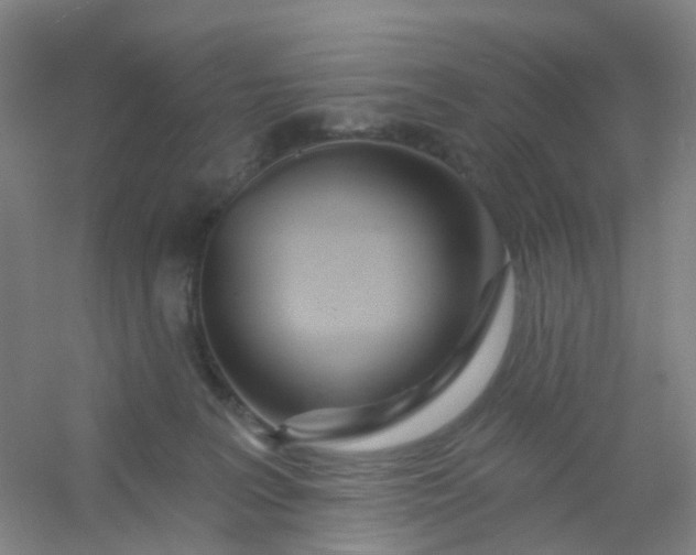 X0000054440227200508121853