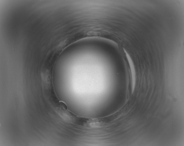 X0000054440228200508121853