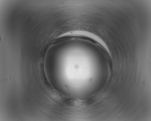 X0000054440229200508121853