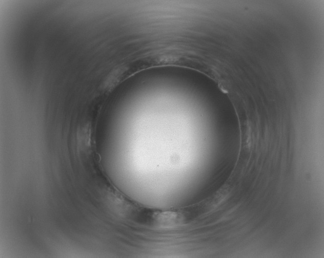 X0000054440230200508121853