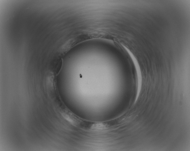 X0000054440231200508121853