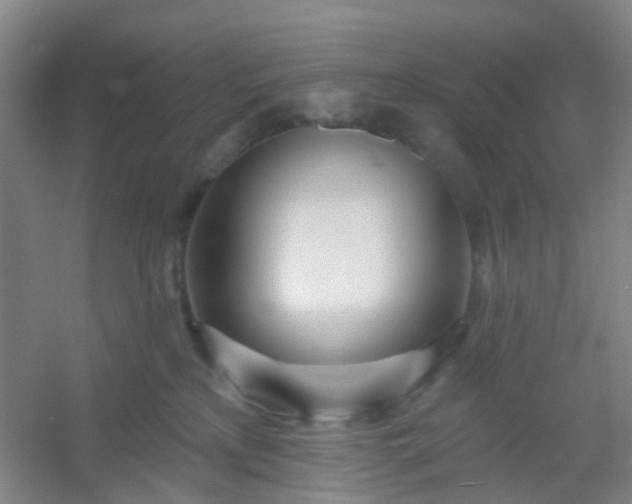 X0000054440233200508121853