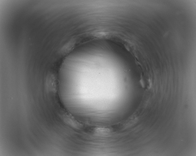 X0000054440234200508121853