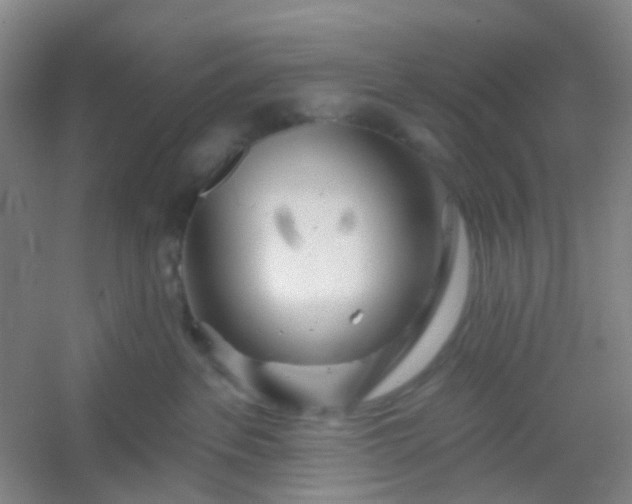 X0000054440237200508121853