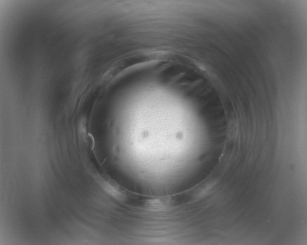 X0000054440238200508121853