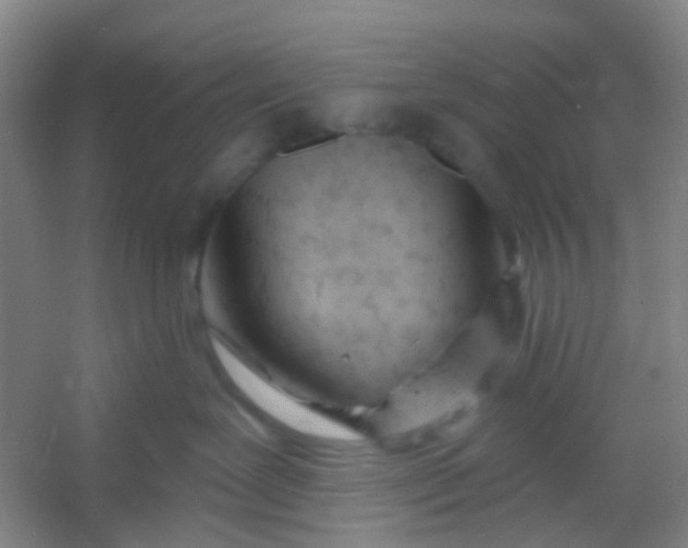 X0000054440239200508121853