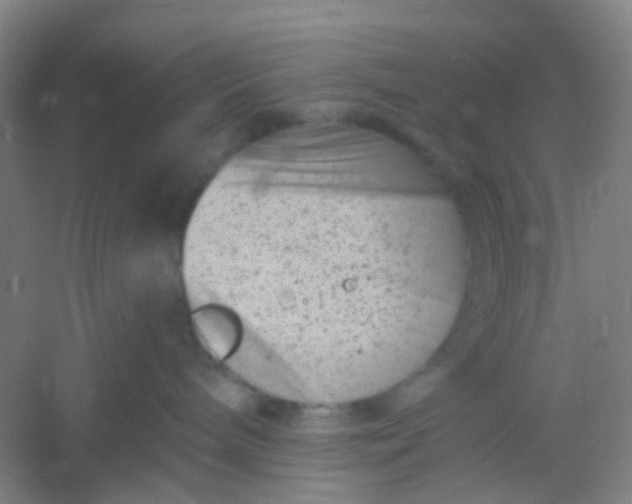 X0000054440240200508121853