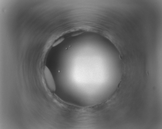 X0000054440241200508121852