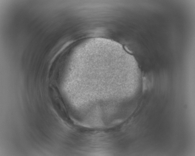 X0000054440243200508121852