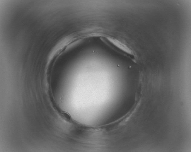 X0000054440245200508121852