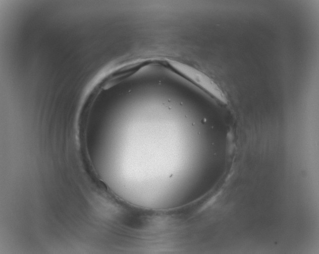 X0000054440246200508121852