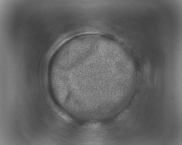 X0000054440247200508121852