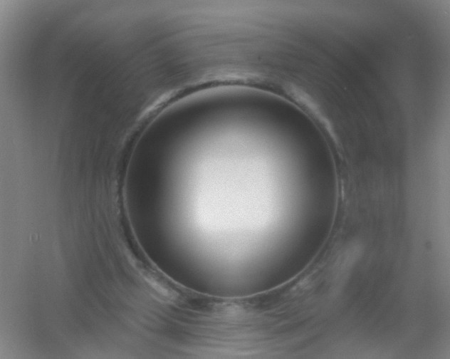 X0000054440249200508121852