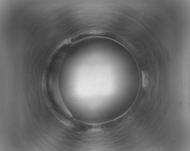 X0000054440252200508121852