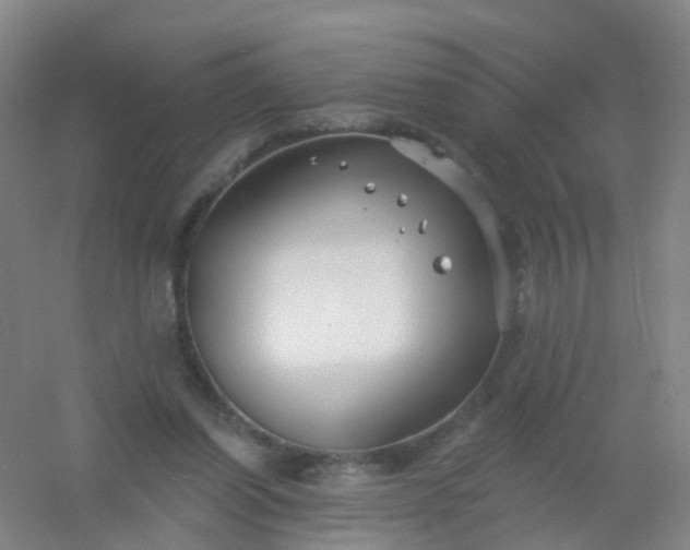 X0000054440254200508121852