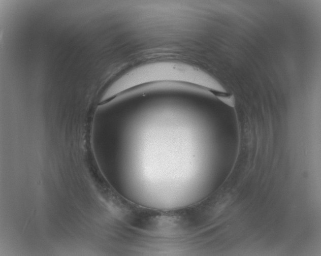 X0000054440255200508121852