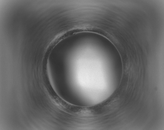 X0000054440256200508121852