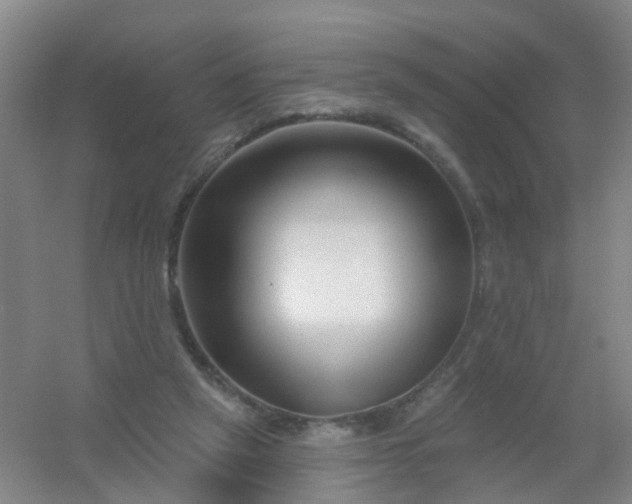 X0000054440257200508121852