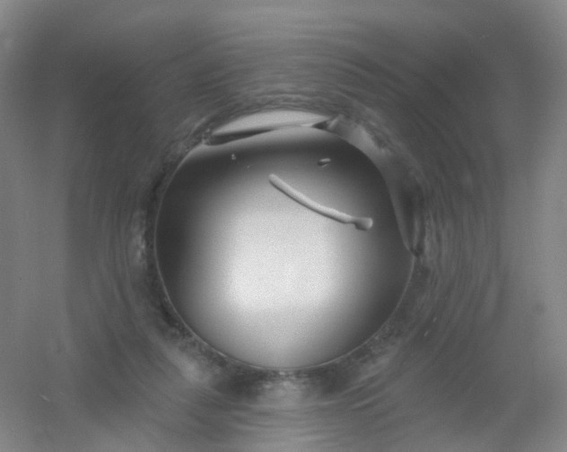 X0000054440259200508121852