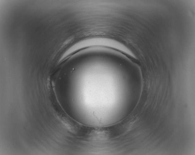 X0000054440260200508121852